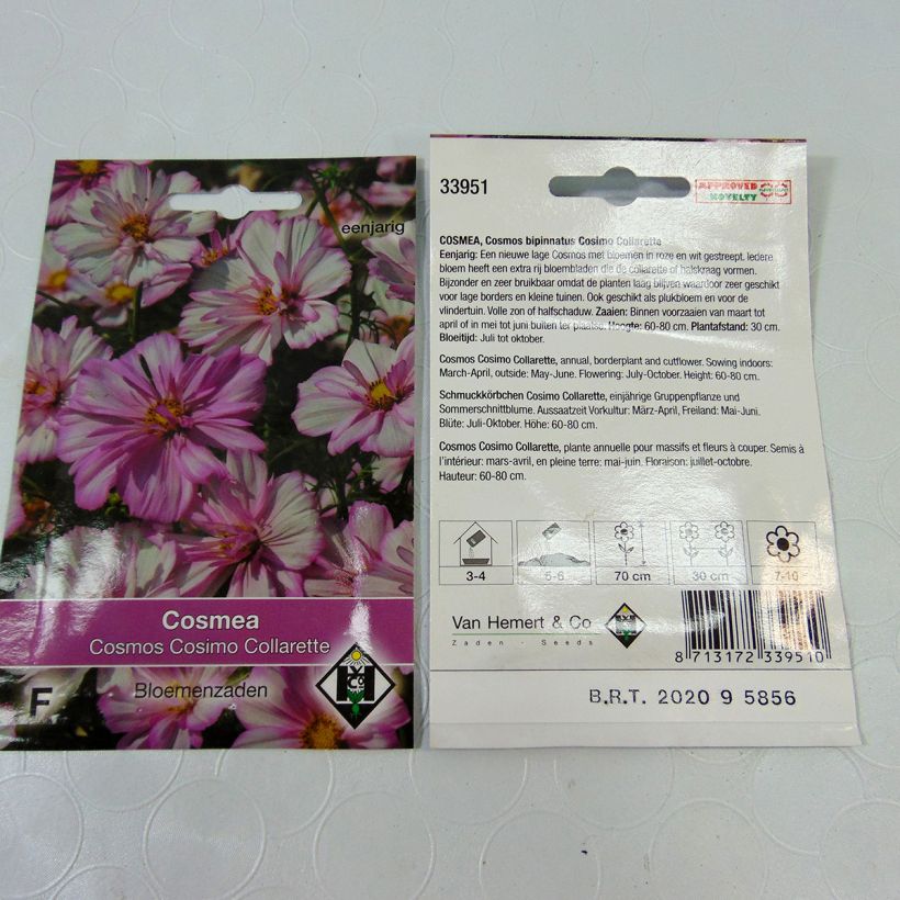 Example of Graines de Cosmos Cosimo Collarette - Cosmos bipinnatus le sachet de 60 graines environ (0.5g) as you get
