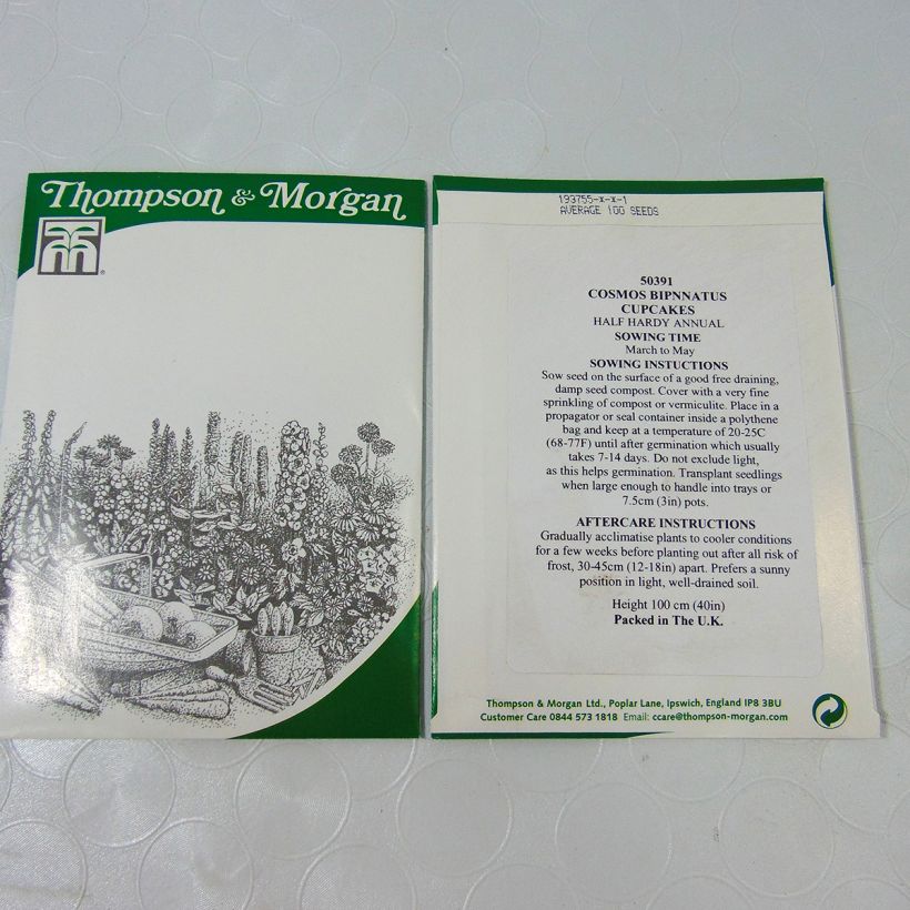 Example of Graines de Cosmos Cupcakes - Cosmos bipinnatus le sachet de +/- 100 graines environ (minimum 1g) as you get