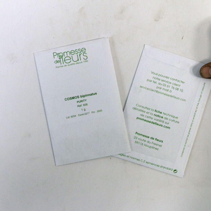 Example of Graines de Cosmos Sensation Purity - Cosmos bipinnatus le sachet de +/- 150 graines environ (minimum 1g) as you get