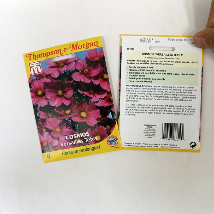 Example of Graines de Cosmos Versailles Tetra - Cosmos bipinnatus le sachet de 60 graines environ as you get