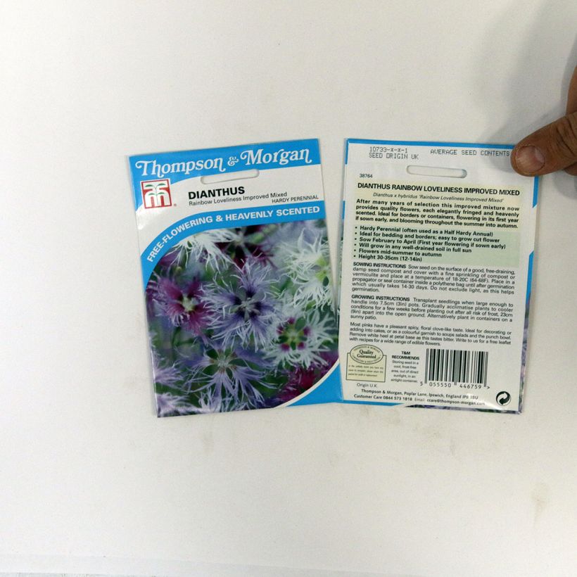 Exemple de spécimen de Graines de d'Oeillet commun en mélange Rainbow Loveliness Improved Mixed  le sachet de 30 graines environ tel que livré