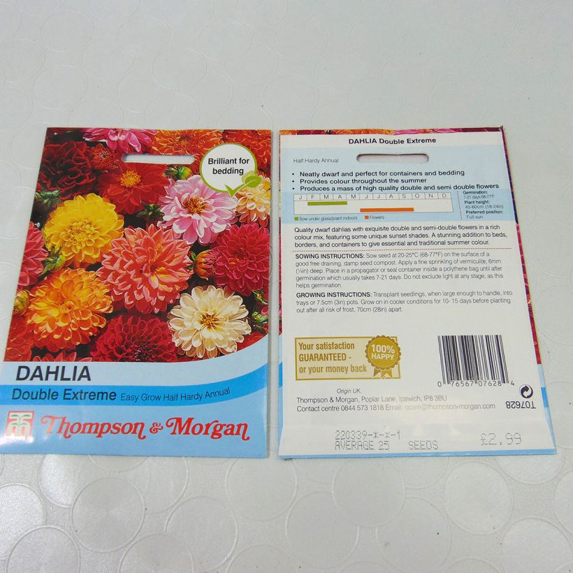 Example of Graines de Dahlia nain Double Extreme en mélange le sachet de +/- 50 graines environ (minimum 0,5g) as you get