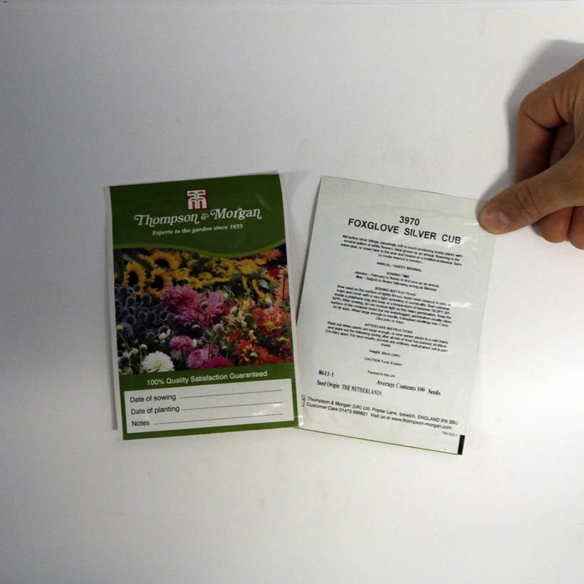 Example of Graines de Digitale Silver Club le sachet de 100 graines environ as you get