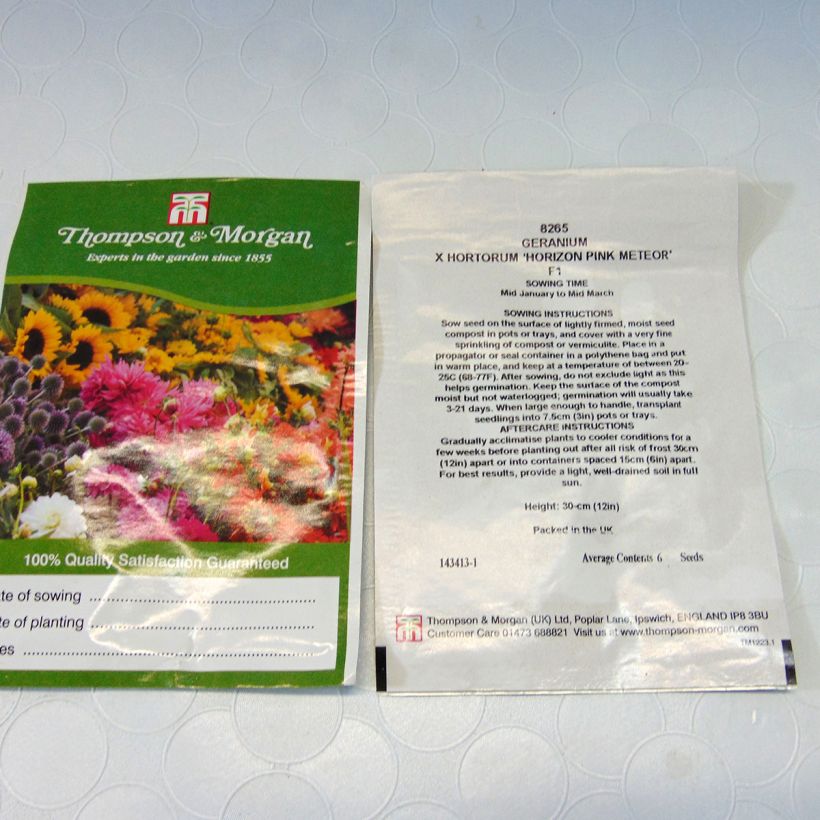 Exemple de spécimen de Graines de Géranium Horizon Pink Meteor F1 - Pelargonium le sachet de 6 graines environ tel que livré