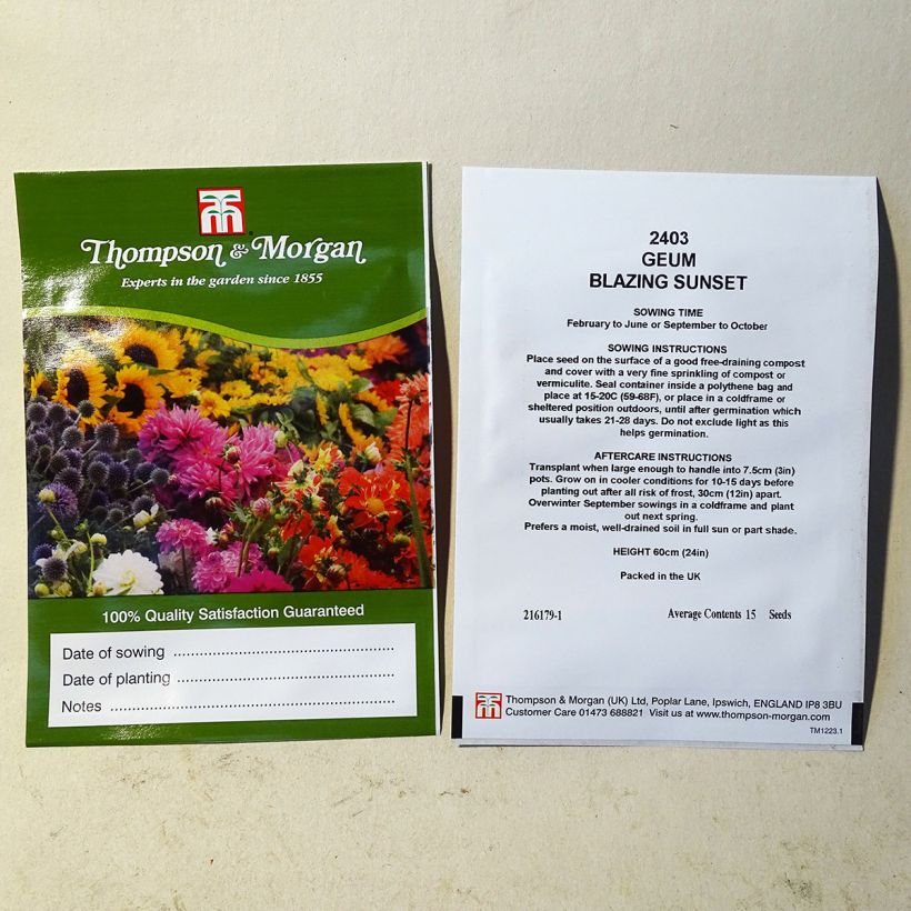 Exemple de spécimen de Graines de Geum Flore Pleno Blazing Sunset - Benoîte le sachet de 15 graines environ tel que livré