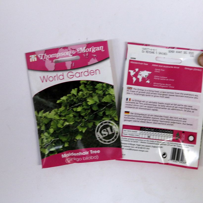 Example of Graines de Ginkgo biloba - Arbre aux quarante écus le sachet de 5 graines environ (minimum 6g) as you get