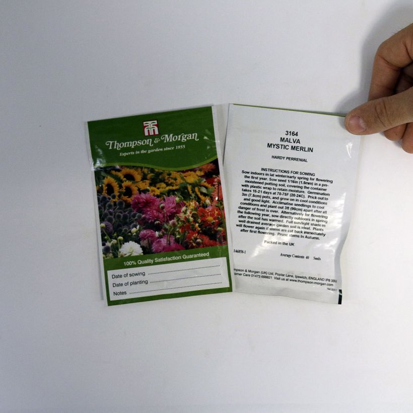 Example of Graines de Malva sylvestris Mystic Merlin - Grande Mauve en mélange le sachet de 40 graines environ as you get