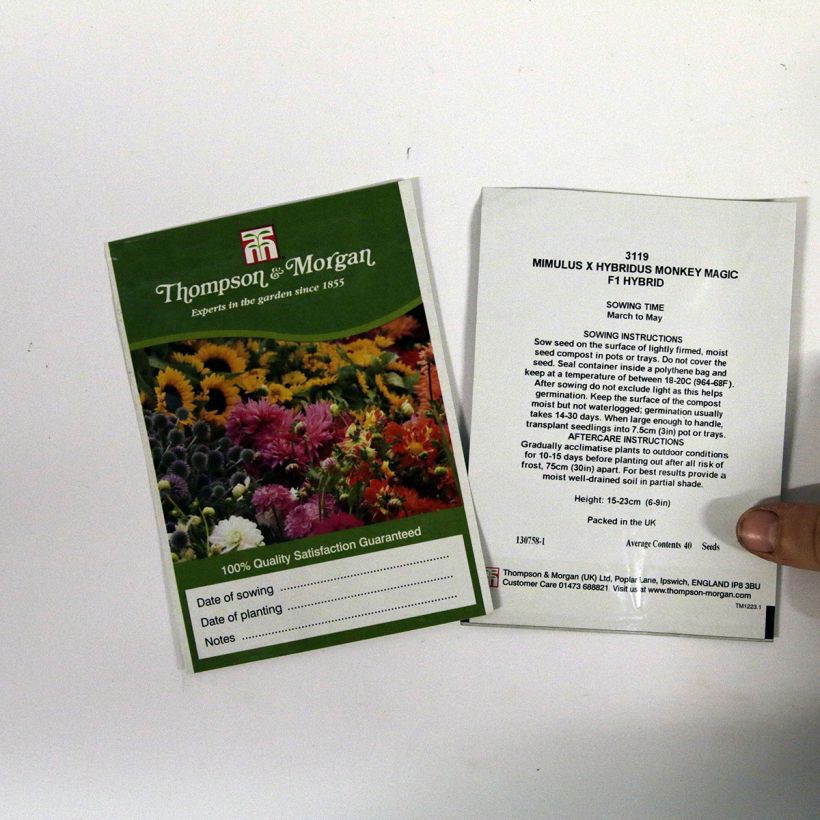 Example of Graines de Mimulus Monkey Magic F1 Hybrid  le sachet de 40 graines environ as you get