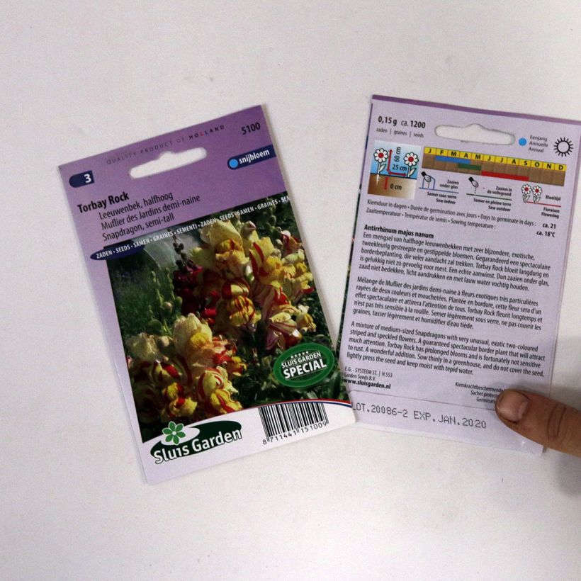 Exemple de spécimen de Graines de Muflier nain Torbay Rock - Antirrhinum majus nanum le sachet de +/- 950 graines environ (minimum 0,15g) tel que livré