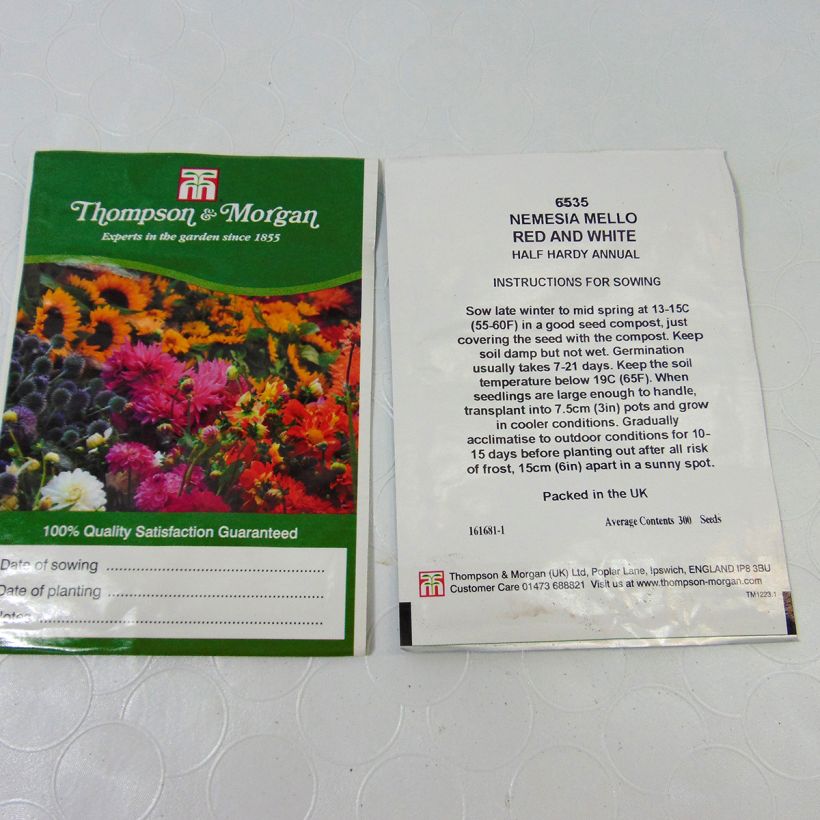 Exemple de spécimen de Graines de Nemesia Mello Red & White - Miroir des elfes le sachet de +/- 850 graines environ (minimum 0,2g) tel que livré