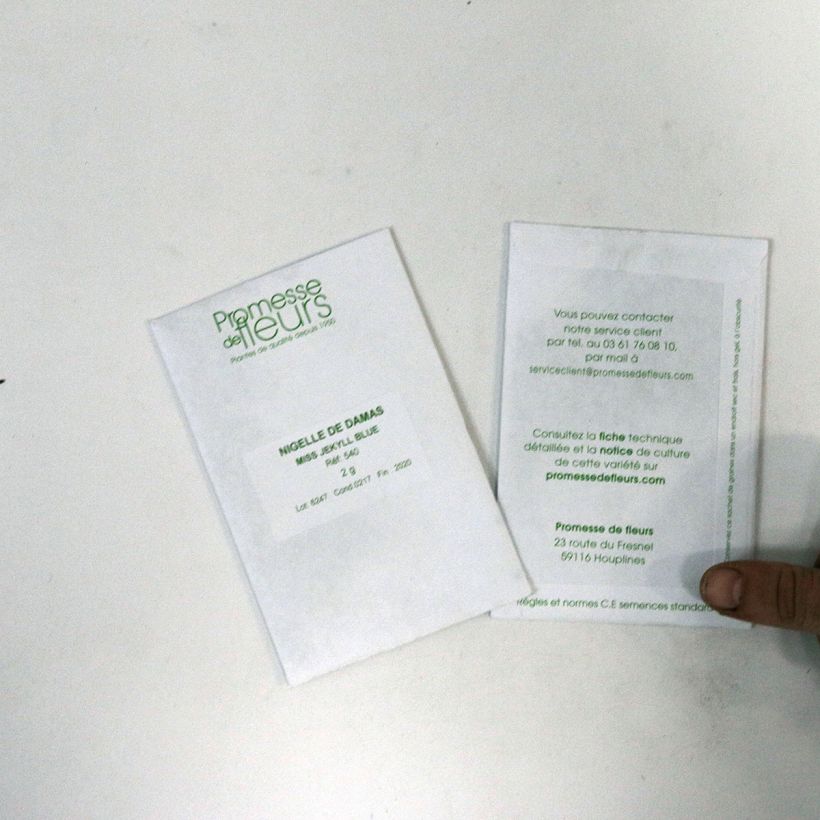 Example of Graines de Nigelle de Damas Miss Jekyll Blue - Nigella damascena le sachet de +/- 600 graines environ (minimum 2g) as you get