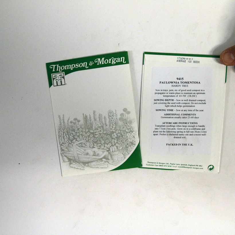 Example of Graines de Paulownia tomentosa - Arbre impérial le sachet de 100 graines environ as you get