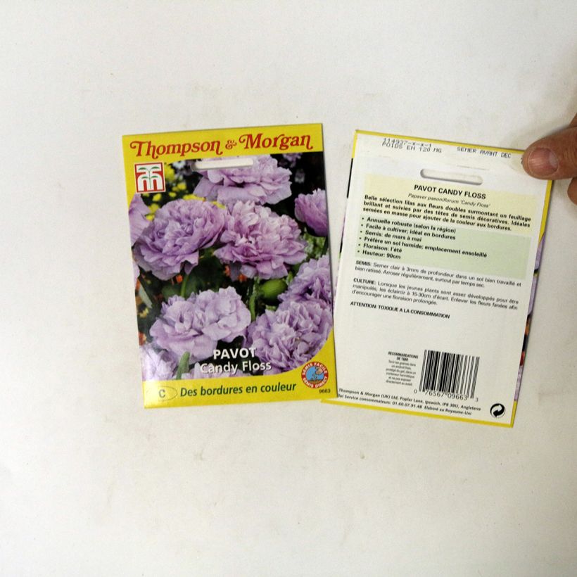 Exemple de spécimen de Graines de Pavot annuel Candy Floss - Papaver somniferum le sachet de 300 graines environ tel que livré