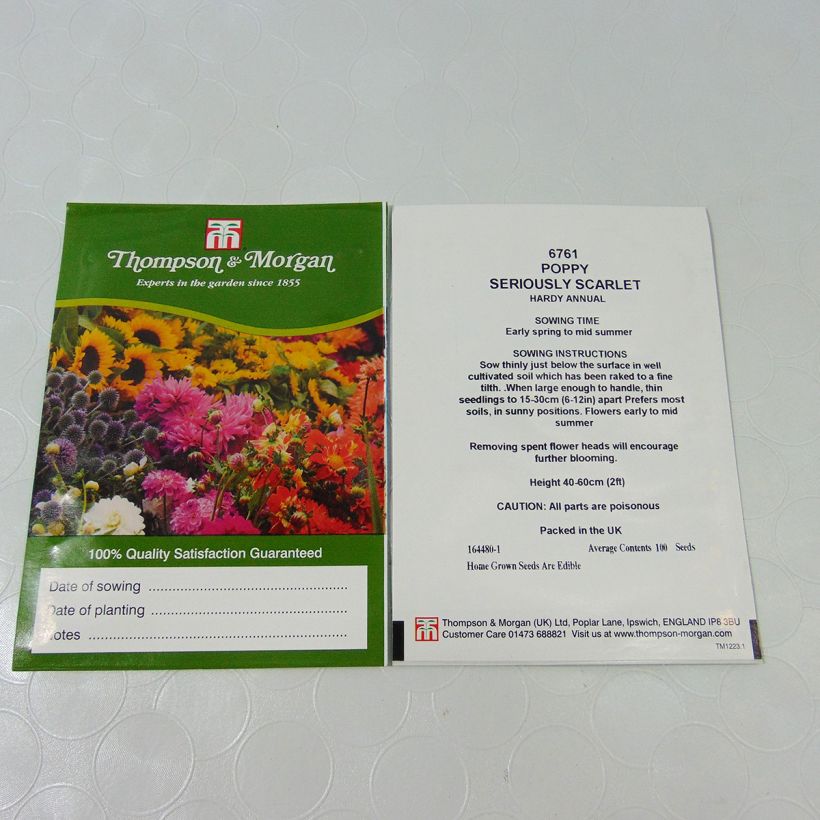 Exemple de spécimen de Graines de Pavot annuel Seriously Scarlet -  Papaver somniferum le sachet de 100 graines environ tel que livré