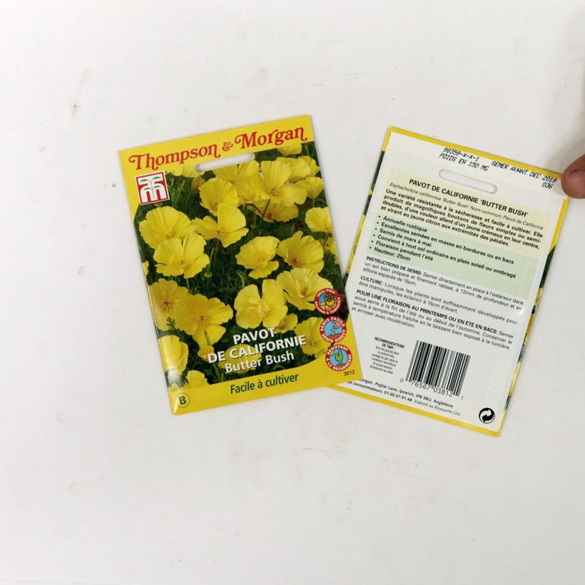 Example of Graines de Pavot de Californie Butter Bush - Eschscholzia californica  le sachet de +/- 350 graines environ (minimum 0,6g) as you get