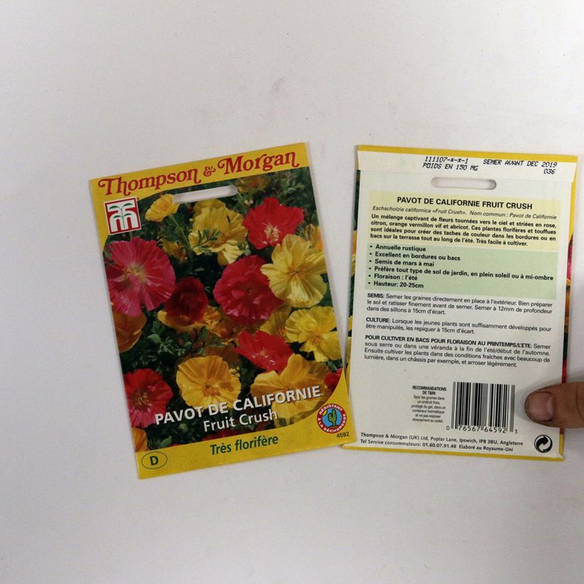 Example of Graines de Pavot de Californie Fruit Crush - Eschscholzia californica le sachet de 150 graines environ as you get