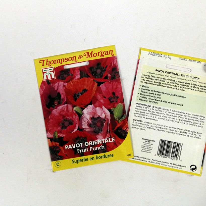 Exemple de spécimen de Graines de Pavot d'Orient Fruit Punch - Papaver orientale  le sachet de 50 graines environ tel que livré