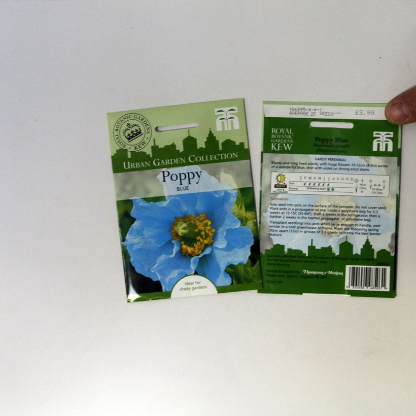 Example of Graines de Pensée Chalon Supreme Wildberry Mixed - Viola x wittrockiana le sachet de 20 graines environ as you get