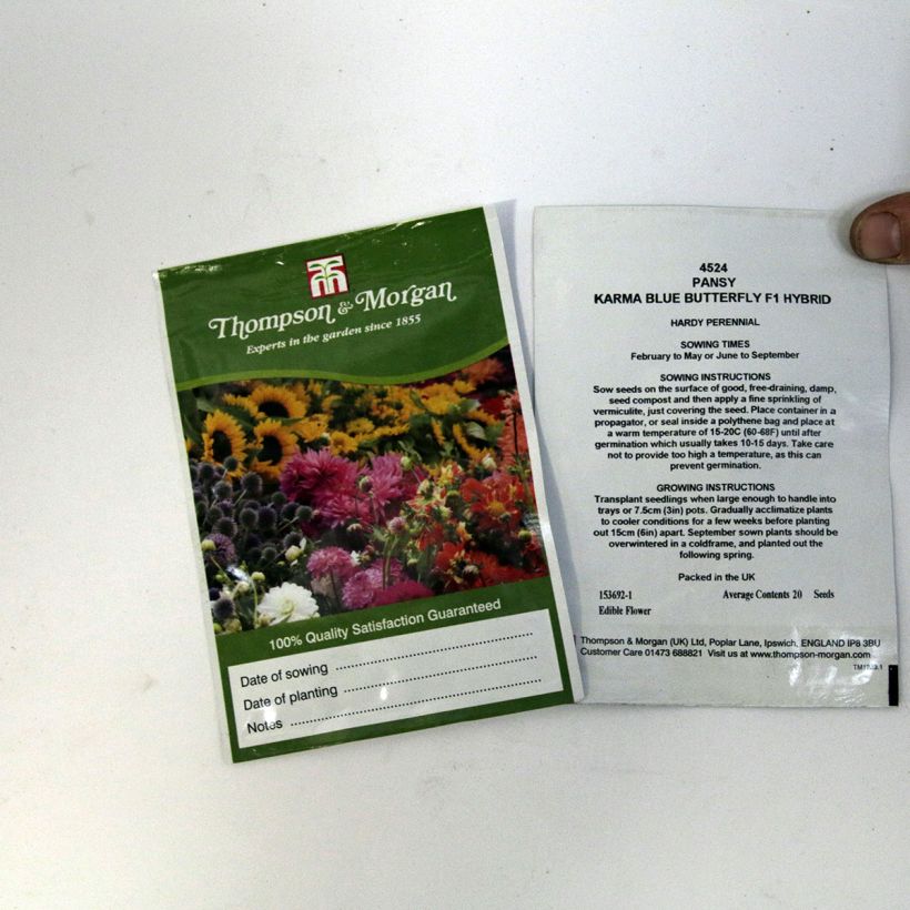 Example of Graines de Pensée Karma Blue Butterfly F1 - Viola x wittrockiana le sachet de 20 graines environ as you get