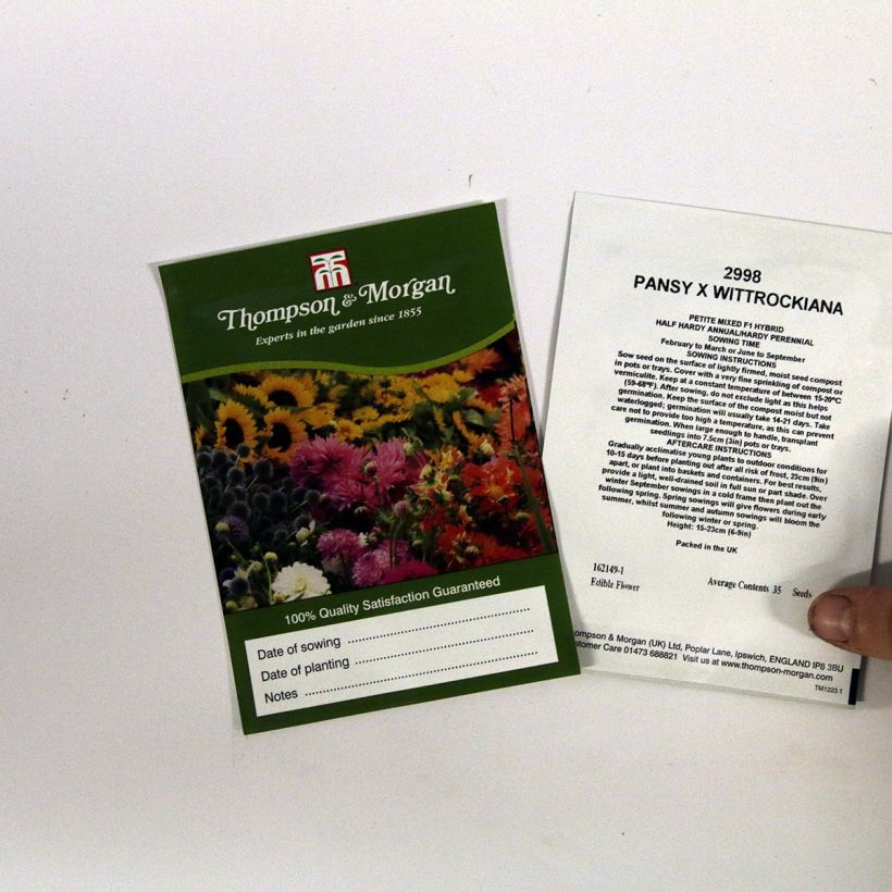 Example of Graines de Pensée Petite Mixed F1 - Viola x wittrockiana le sachet de 35 graines environ as you get