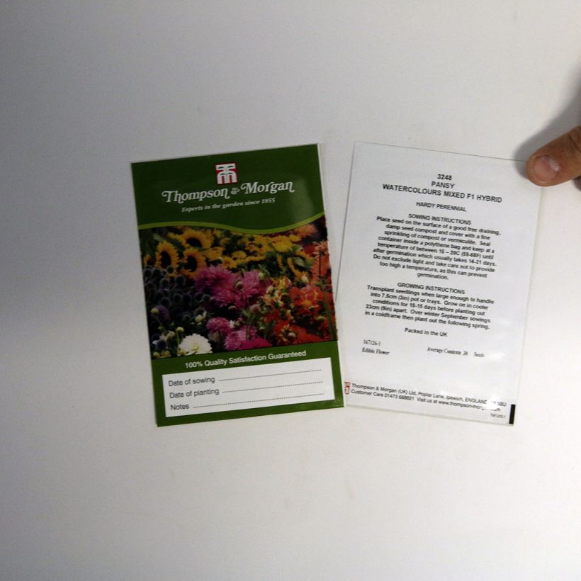 Exemple de spécimen de Graines de Pensée Water Colours Mixed F1 - Viola x wittrockiana le sachet de 30 graines environ tel que livré