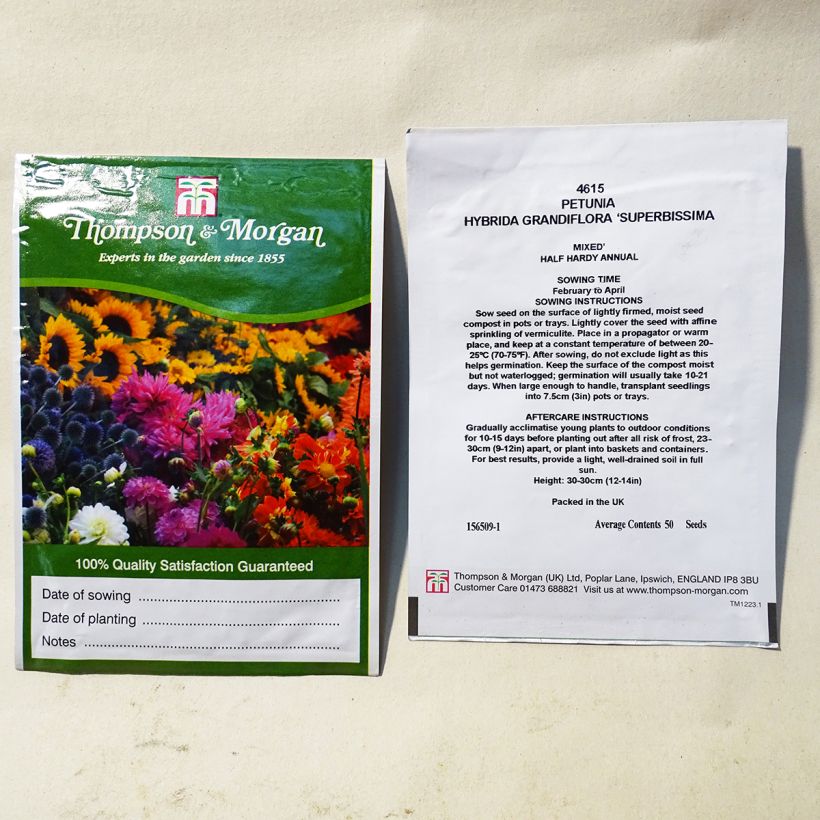 Exemple de spécimen de Graines de Pétunia Grandiflora Superbissima  le sachet de 50 graines environ tel que livré