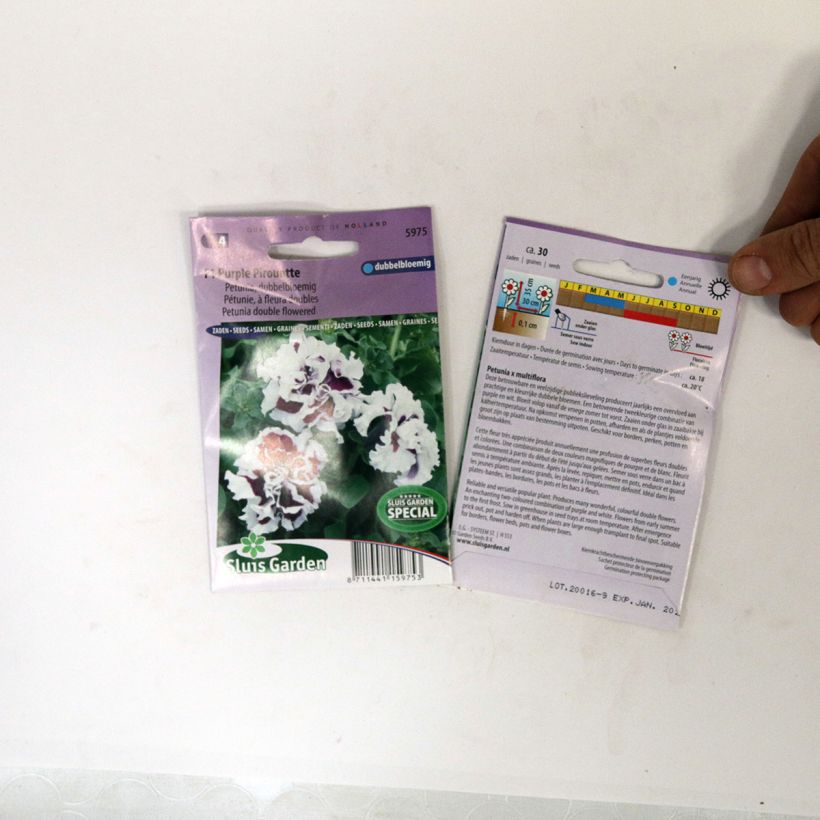 Exemple de spécimen de Graines de Pétunia Purple Pirouette F1 à fleurs doubles le sachet de 30 graines environ tel que livré