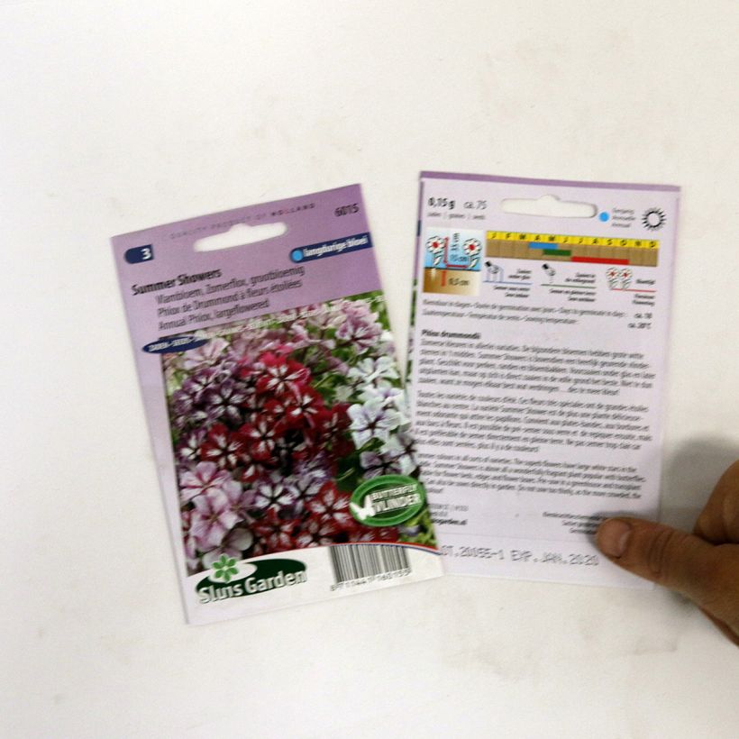 Exemple de spécimen de Graines de Phlox drummondii Summer Showers en mélange - Phlox de Drummond  le sachet de 75 graines environ tel que livré