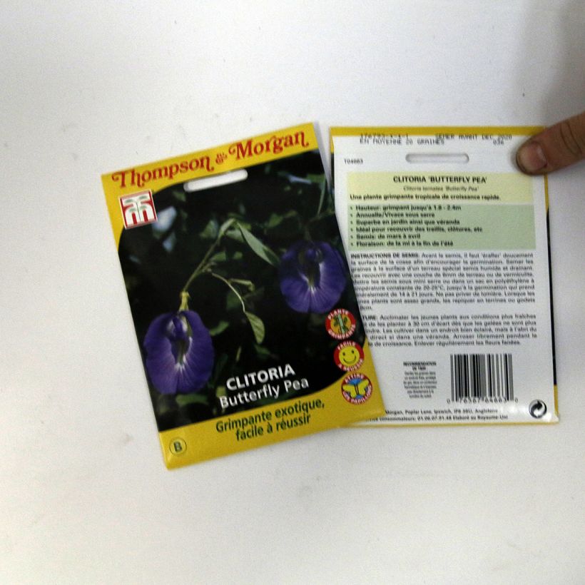 Example of Graines de Pois bleu - Clitoria ternatea le sachet de 20 graines environ (minimum 1,2g) as you get