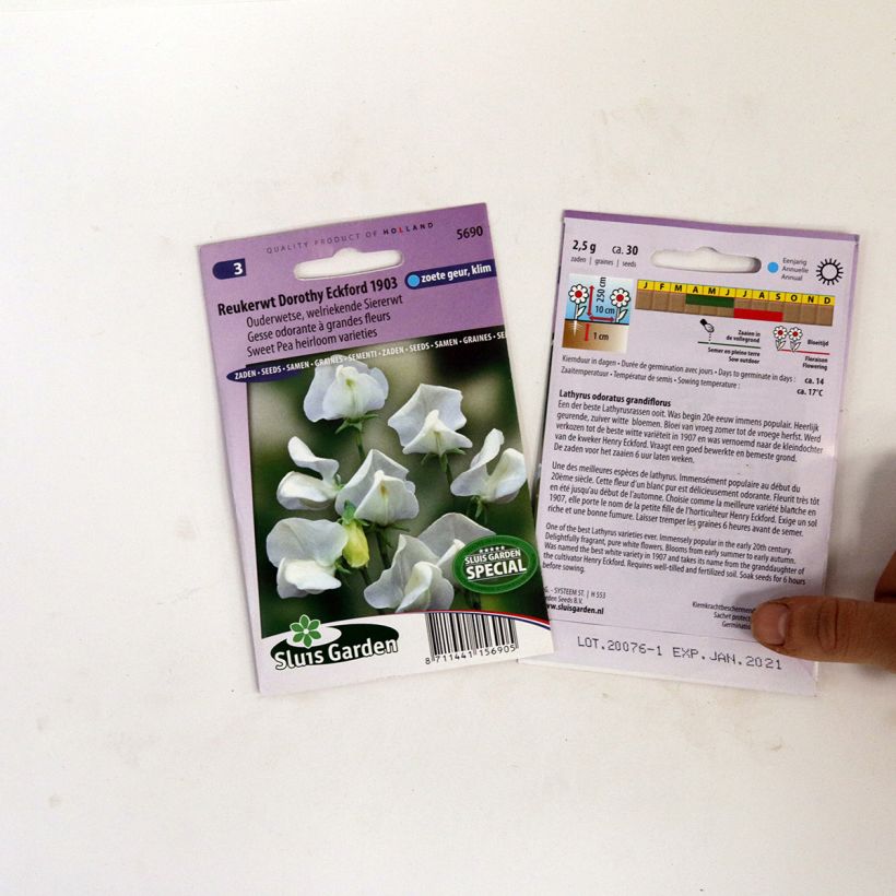 Exemple de spécimen de Graines de Pois de senteur Dorothy Eckford - Lathyrus odoratus  le sachet de 30 graines environ tel que livré