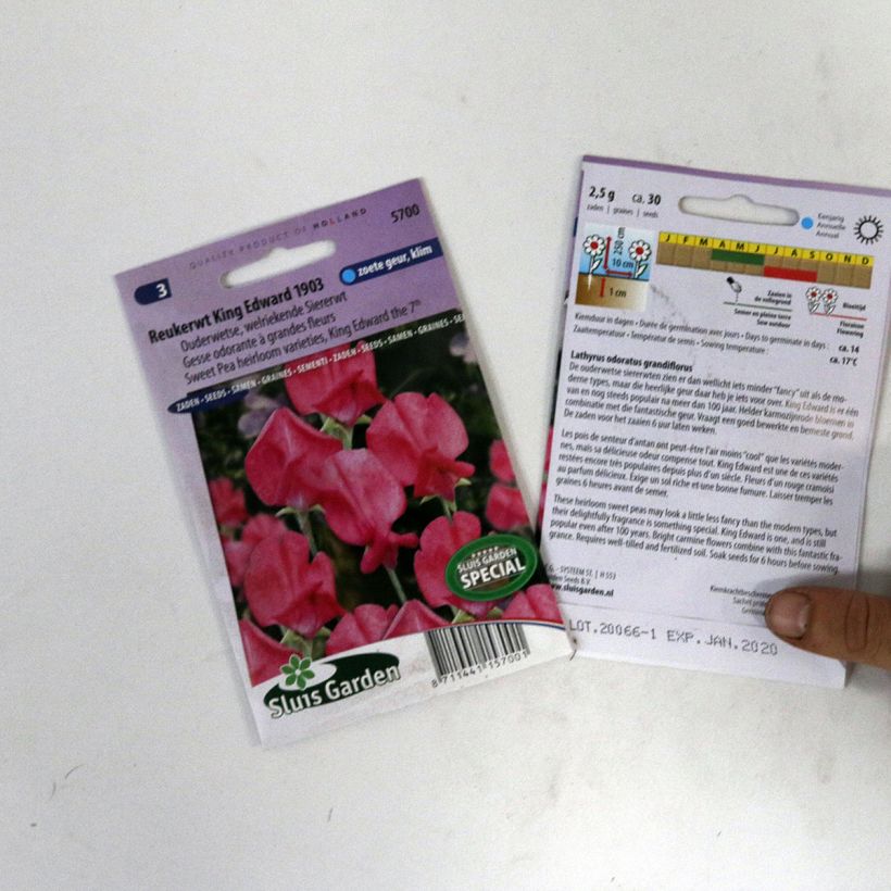 Example of Graines de Pois de senteur King Edward VII - Lathyrus odoratus  le sachet de 30 graines environ as you get