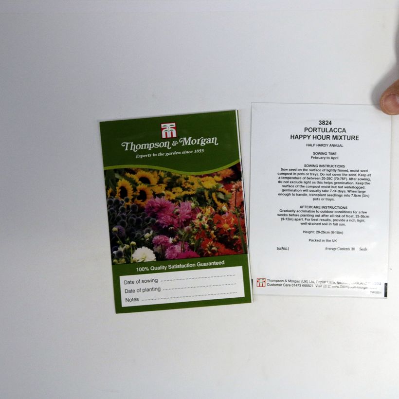 Exemple de spécimen de Graines de Pourpier à grandes fleurs Happy Hour Mixture - Portulaca grandiflora  le sachet de 80 graines environ tel que livré