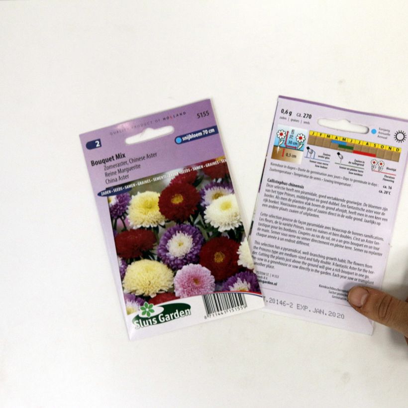 Exemple de spécimen de Graines de Reine-marguerite Bouquet en mélange le sachet de +/- 300 graines environ (minimum 0,8g) tel que livré