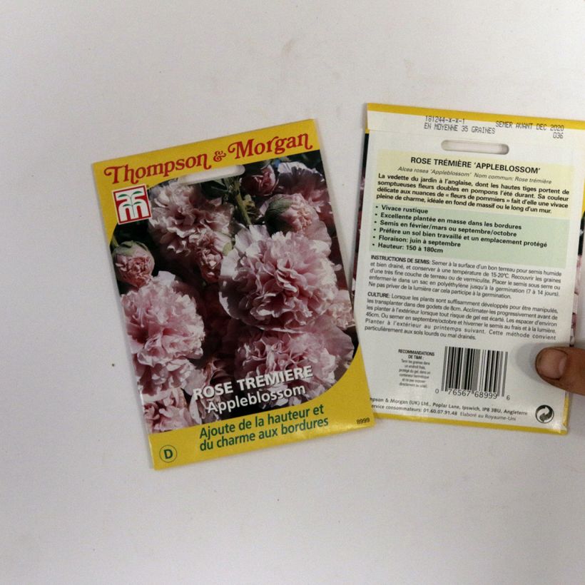 Exemple de spécimen de Graines de Rose trémière Appleblossom - Alcea rosea le sachet de graines de 2 grammes tel que livré