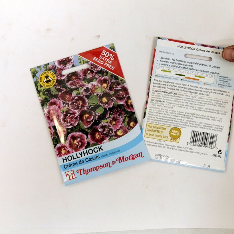 Exemple de spécimen de Graines de Rose trémière Crème de cassis - Alcea rosea le sachet de 20 graines environ (0.48g) tel que livré