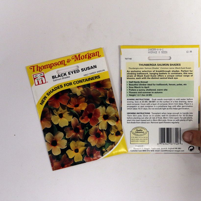 Exemple de spécimen de Graines de Suzanne aux yeux noirs Salmon Shades - Thunbergia alata le sachet de graines de 2 grammes tel que livré