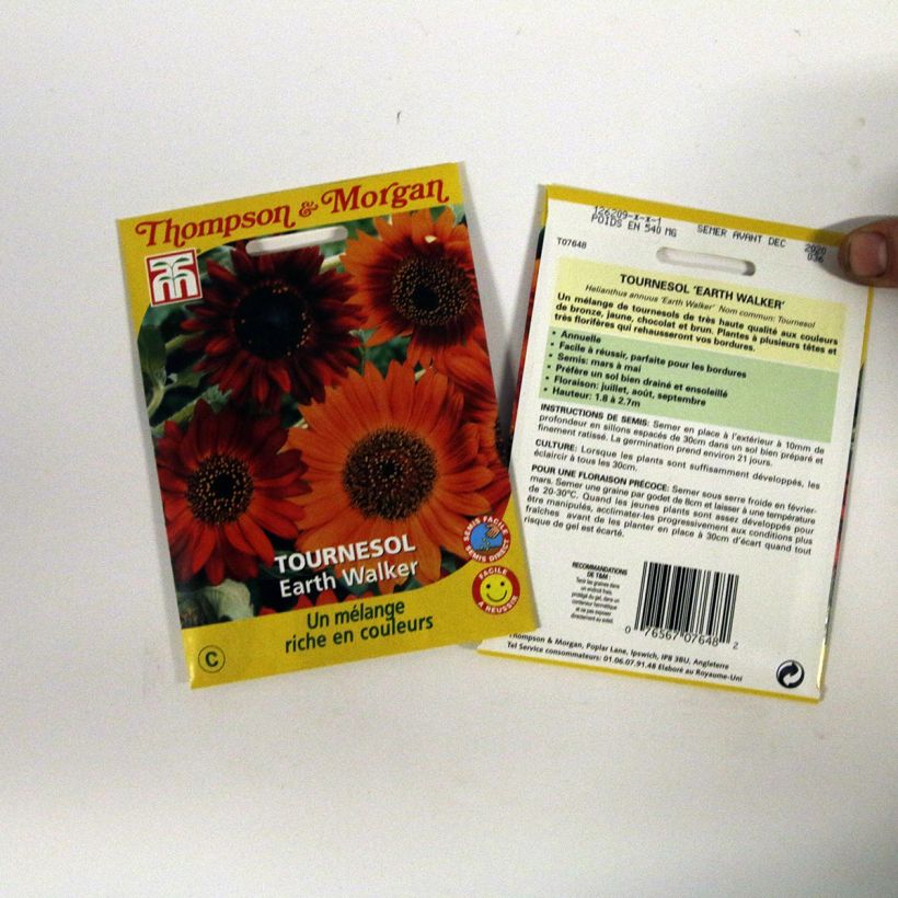 Example of Graines de Tournesol Earth Walker - Helianthus annuus le sachet de graines de 0.95 grammes as you get