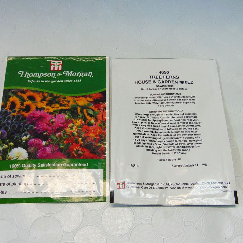 Exemple de spécimen de Graines de Tree Fern House & Garden Mixed  - Fougères arborescentes en mélange le sachet de 25 graines environ tel que livré