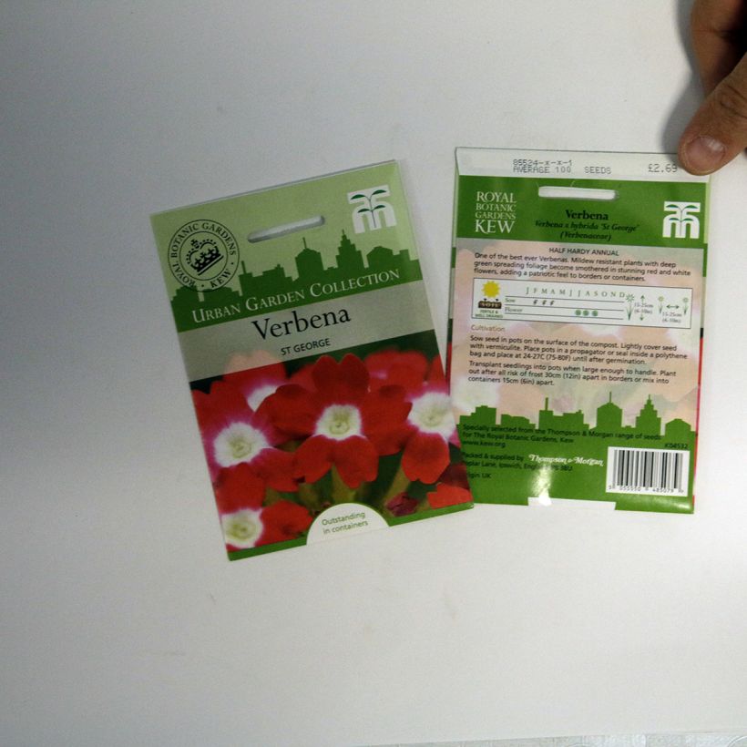 Exemple de spécimen de Graines de Verveine des Jardins St George le sachet de 100 graines environ tel que livré