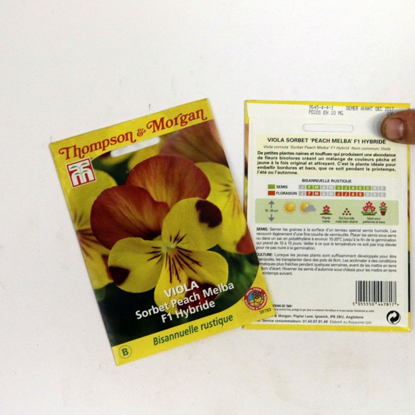 Exemple de spécimen de Graines de Viola Sorbet Peach Melba F1  le sachet de graines de 2 grammes tel que livré