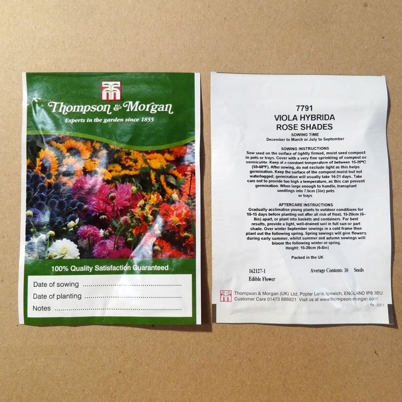 Example of Graines de Viola Rose Shades  le sachet de 30 graines environ as you get