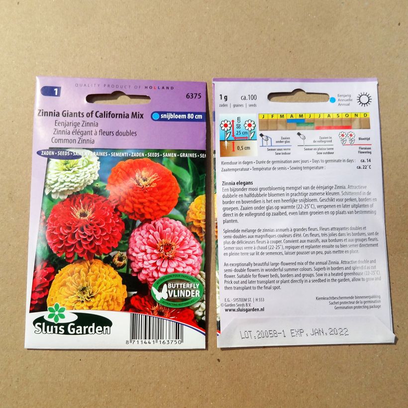 Example of Graines de Zinnia Géant de Californie en mélange le sachet de +/- 100 graines environ (minimum 1g) as you get