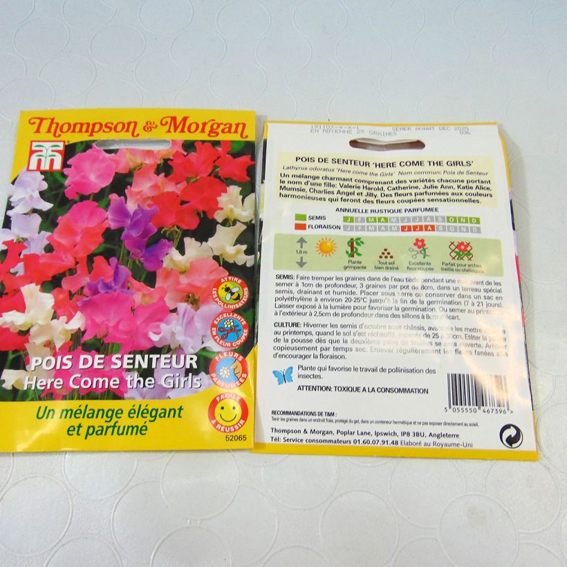 Exemple de spécimen de Graines de pois de senteur Here come the Girls - Lathyrus odoratus le sachet de graines de 2 grammes tel que livré
