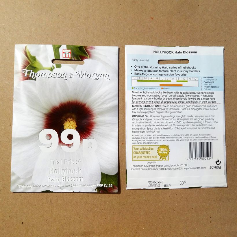Exemple de spécimen de Graines de Rose trémière Halo Blossom - Alcea rosea le sachet de 25 graines environ tel que livré