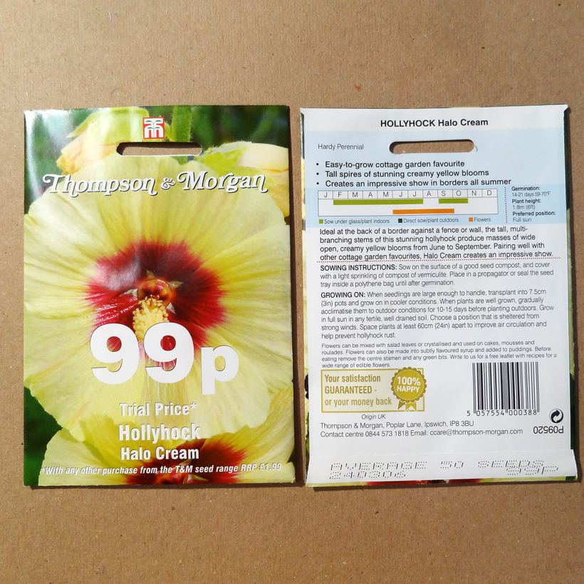 Exemple de spécimen de Graines de Rose trémière Halo Cream - Alcea rosea le sachet de 25 graines environ tel que livré