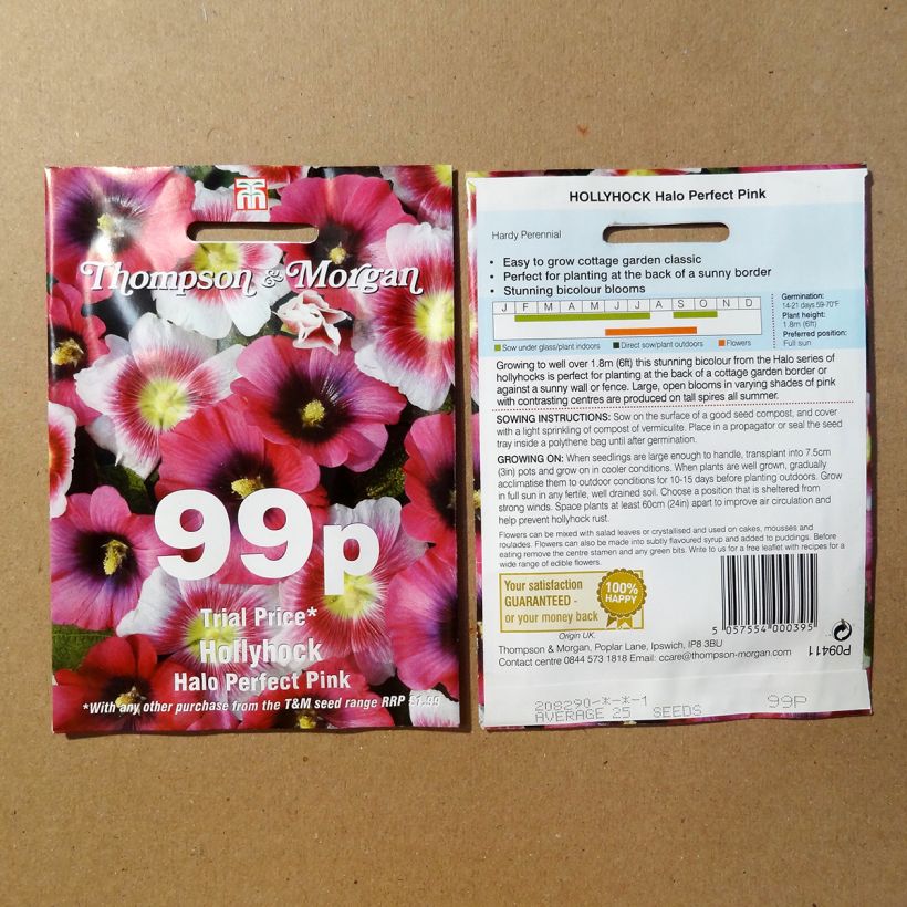 Exemple de spécimen de Graines de Rose trémière Halo Perfect Pink - Alcea rosea le sachet de 25 graines environ tel que livré
