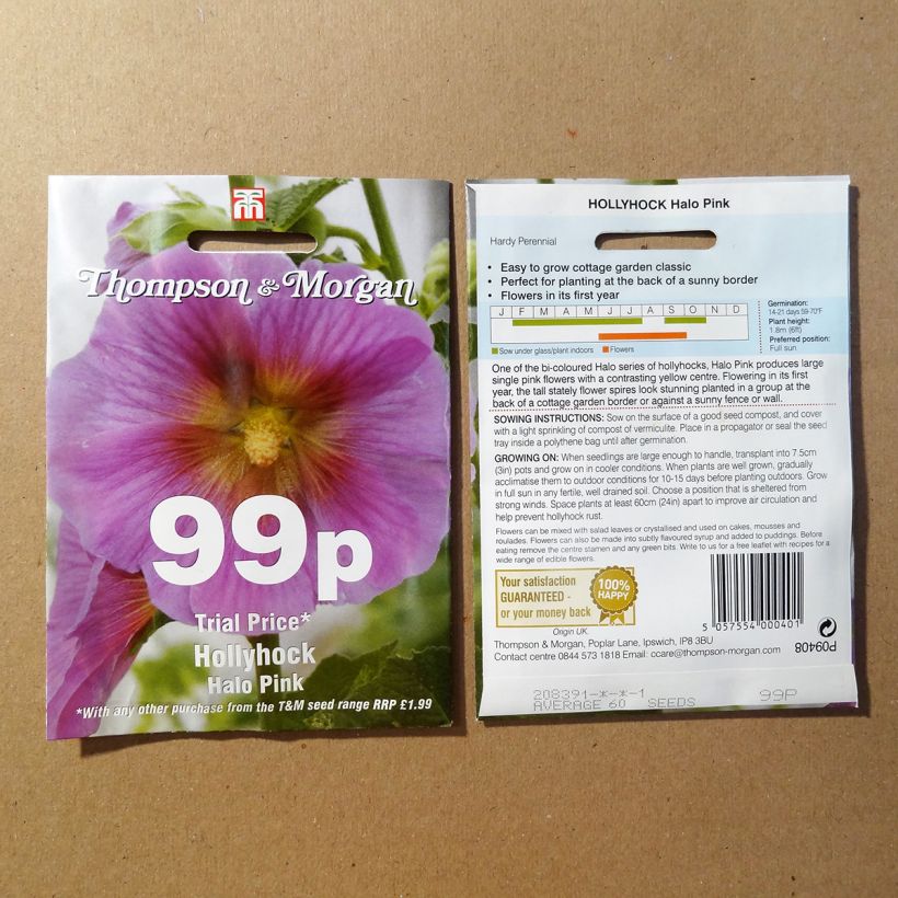 Exemple de spécimen de Graines de Rose trémière Halo Pink - Alcea rosea le sachet de 25 graines environ tel que livré