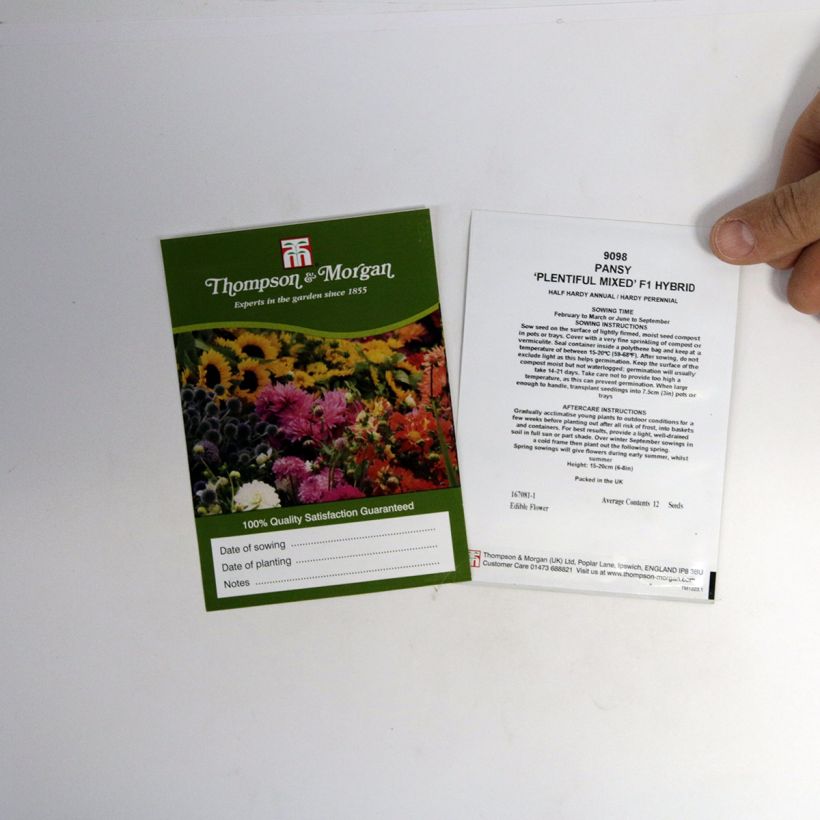 Exemple de spécimen de Graines de Pensée Plentifall Mixed F1 - Viola x wittrockiana le sachet de 12 graines environ tel que livré