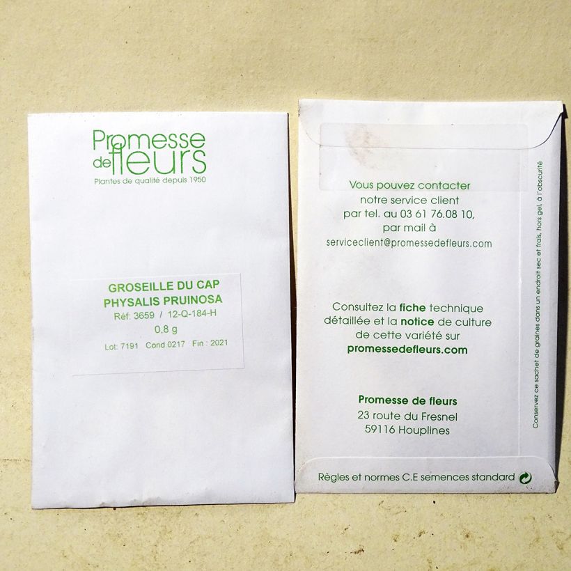 Example of Groseille du Cap Preciosa - Physalis le sachet de 700 graines environ (minimum 0,8g) as you get