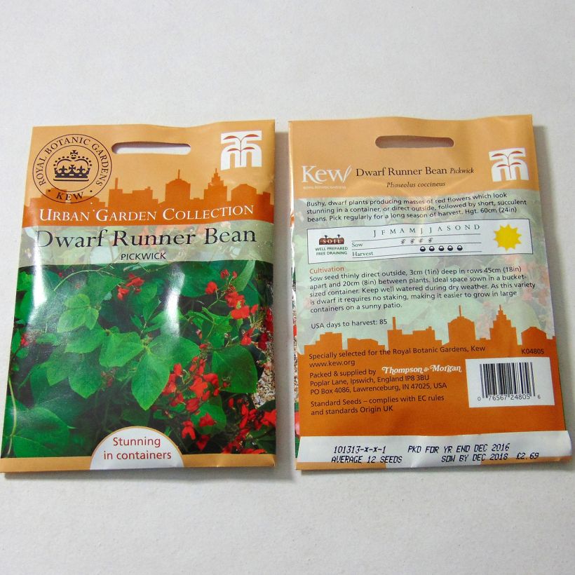 Example of Haricot d'Espagne nain Pickwick - Haricot-fleur le sachet de 12 graines environ as you get